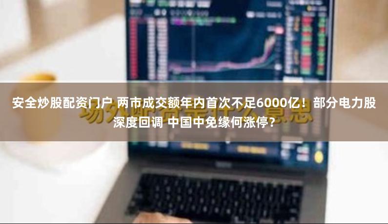 安全炒股配资门户 两市成交额年内首次不足6000亿！部分电力股深度回调 中国中免缘何涨停？